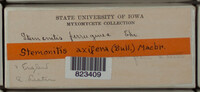 Image Associated With the Occurence